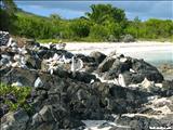Pata Prieta Beach - VIEQUES